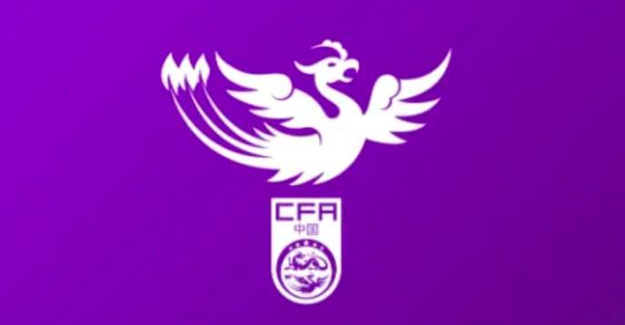 足协发布中国女足主帅选聘通知,目标2027世界杯、2028奥运会